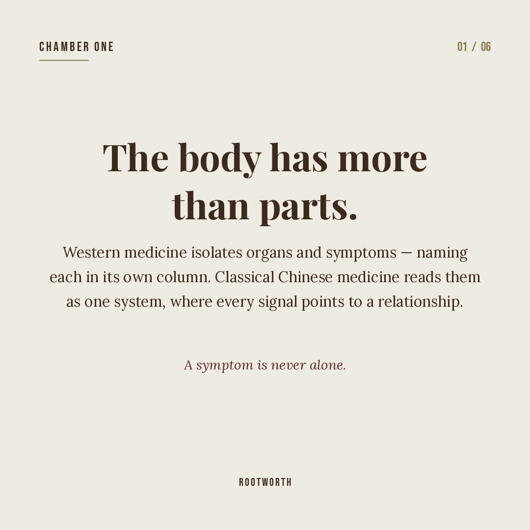Slide: The body has more than parts. A symptom is never alone.