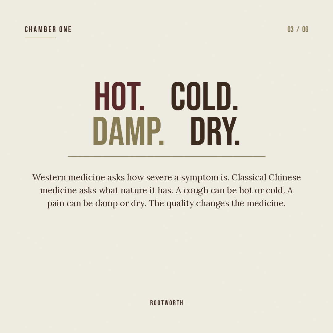 Slide: HOT in oxblood, COLD in bark, DAMP in brass, DRY in bark — each quality colored to its register.