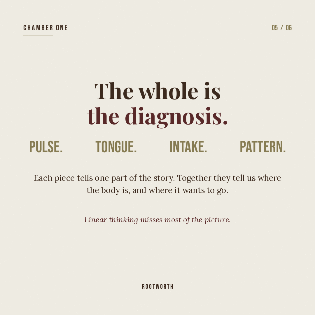 Slide: The whole is the diagnosis — Pulse. Tongue. Intake. Pattern.