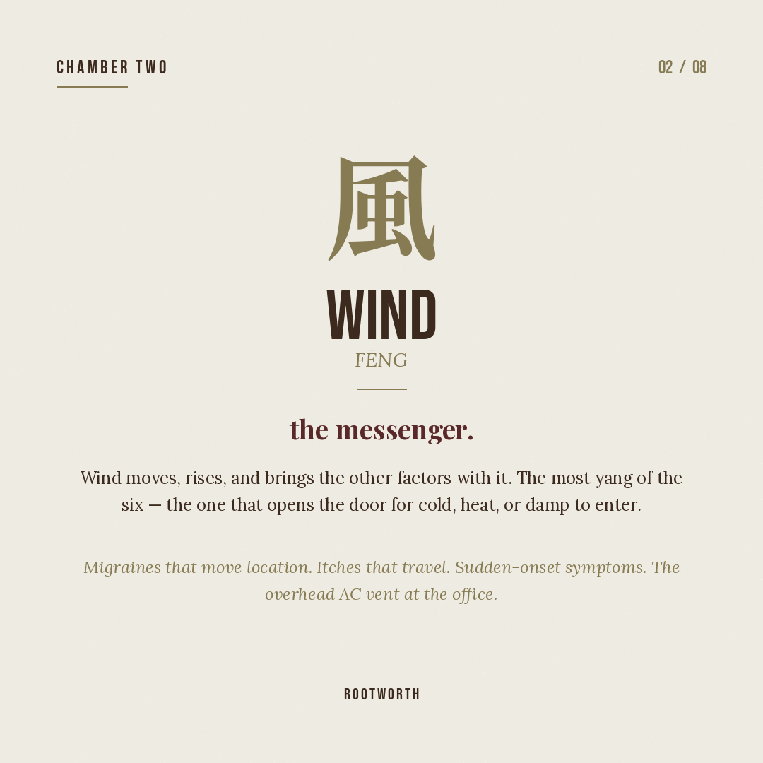 Wind (风) — the factor that comes and goes.