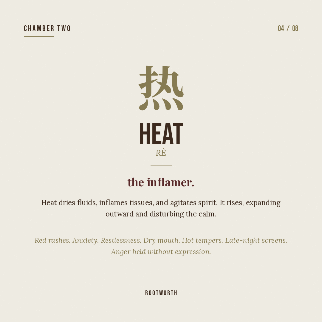 Heat (热) — accelerates, dries, irritates.