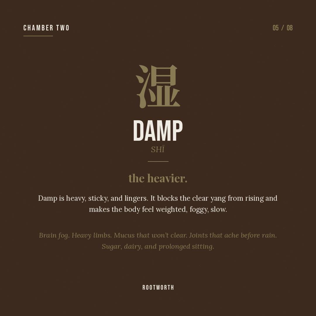 Damp (湿) — heavy, sticky, lingers.