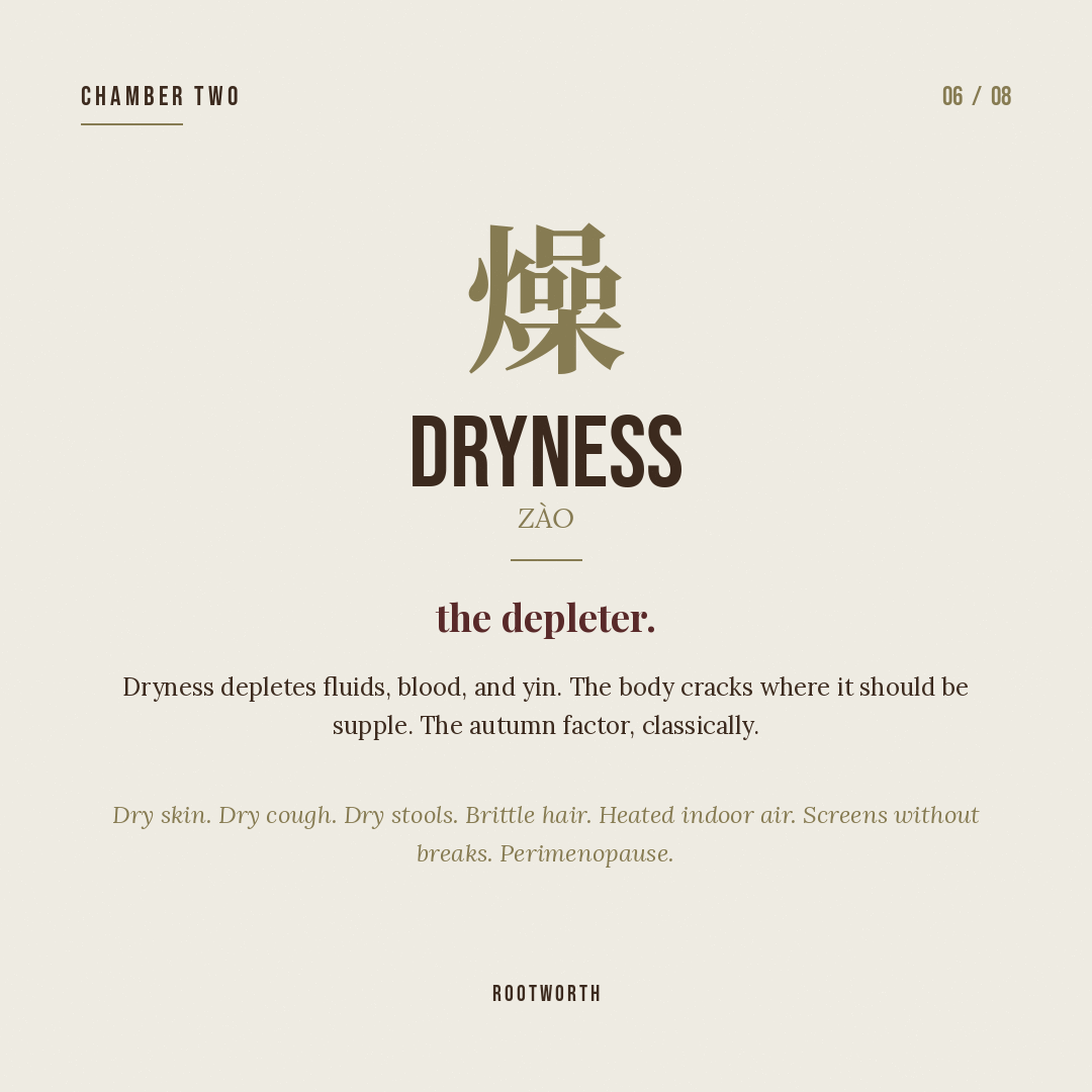 Dryness (燥) — depletes fluids, cracks skin, irritates lungs.