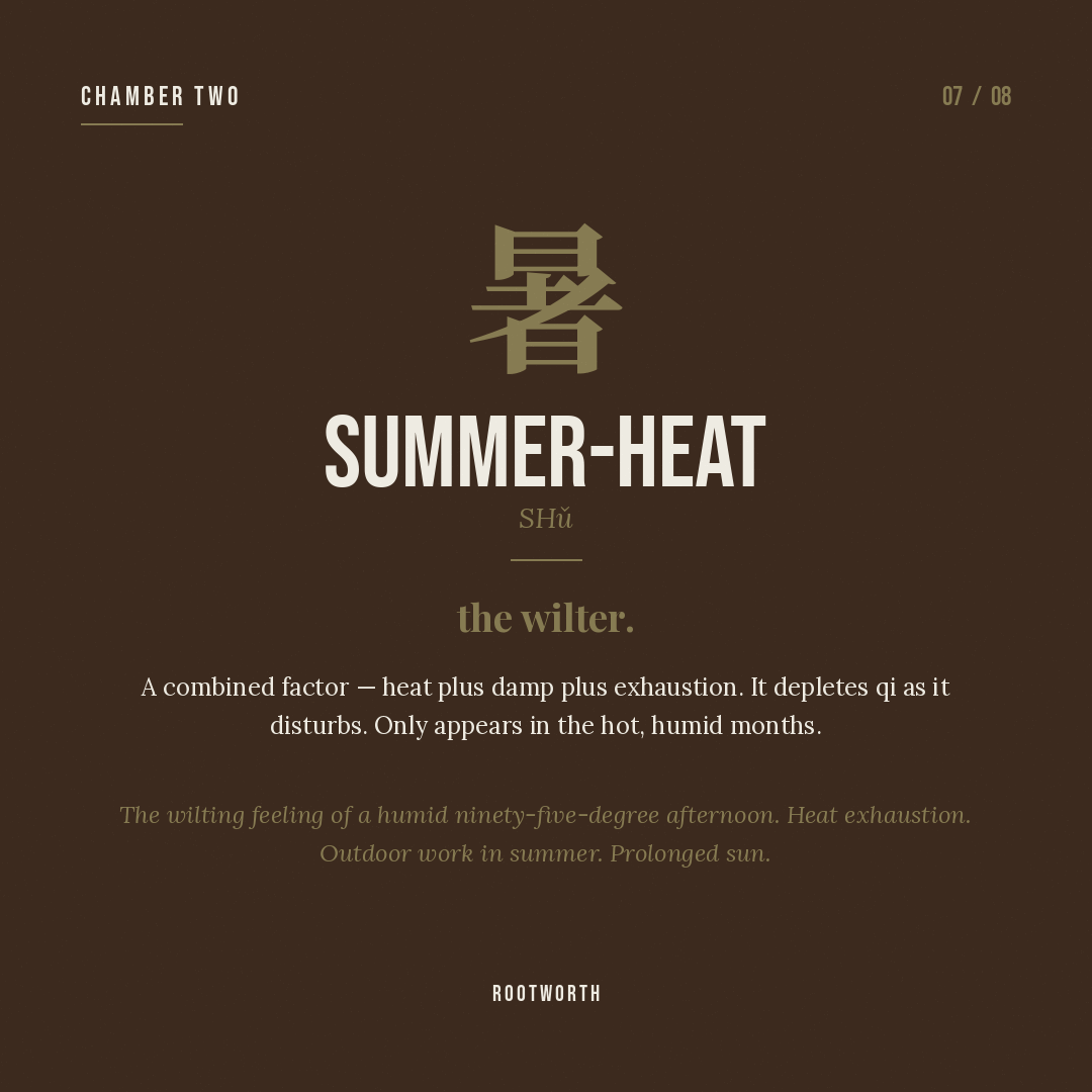 Summer-heat (暑) — heat compounded with damp; sudden onset, prostration.