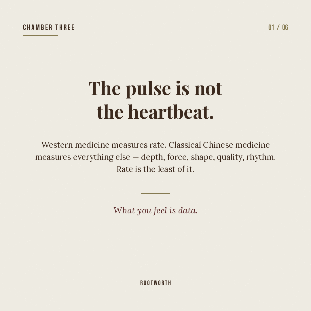 Reframing pulse — not a number, a piece of music