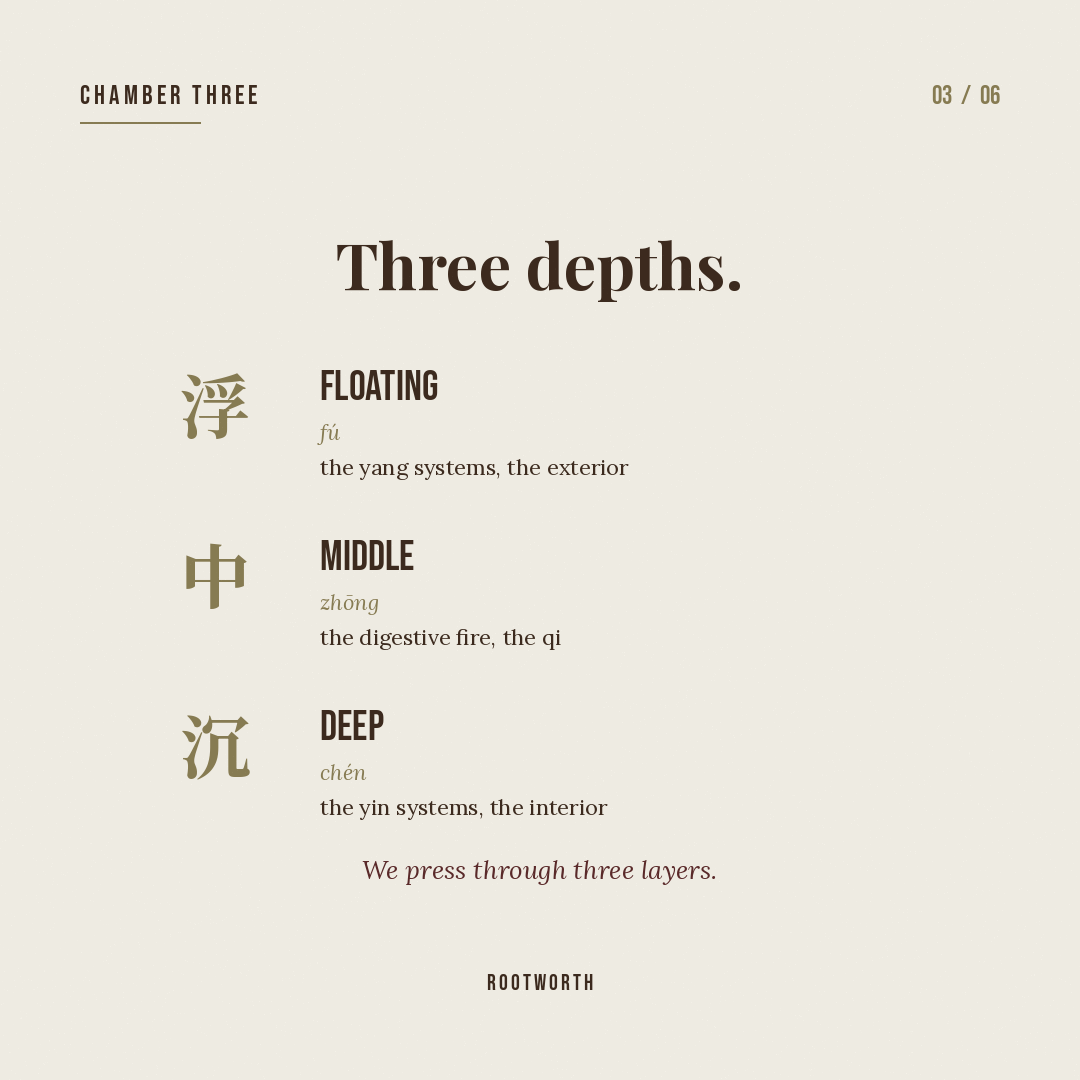 Superficial, middle, and deep pulse depths