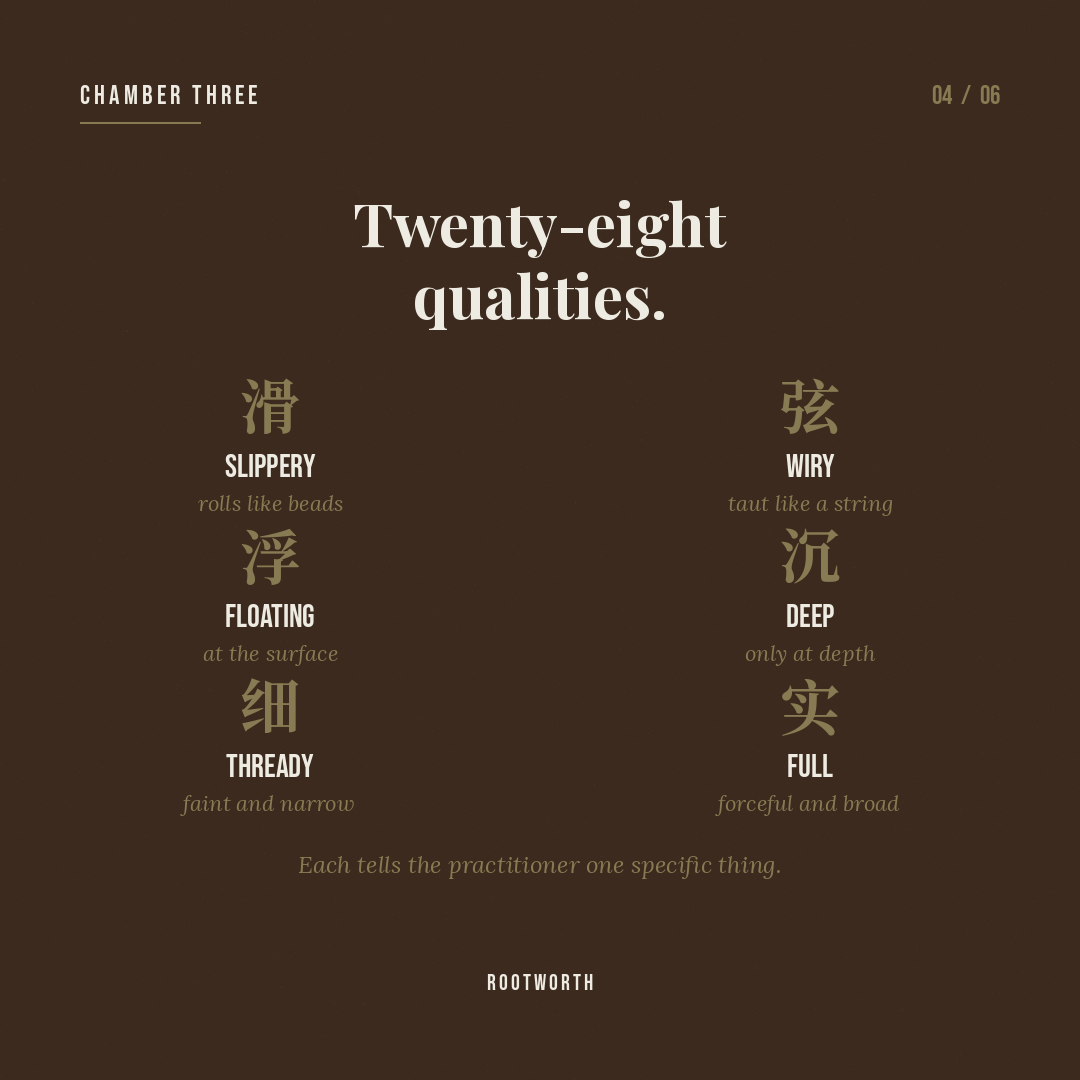 The 28 classical pulse qualities