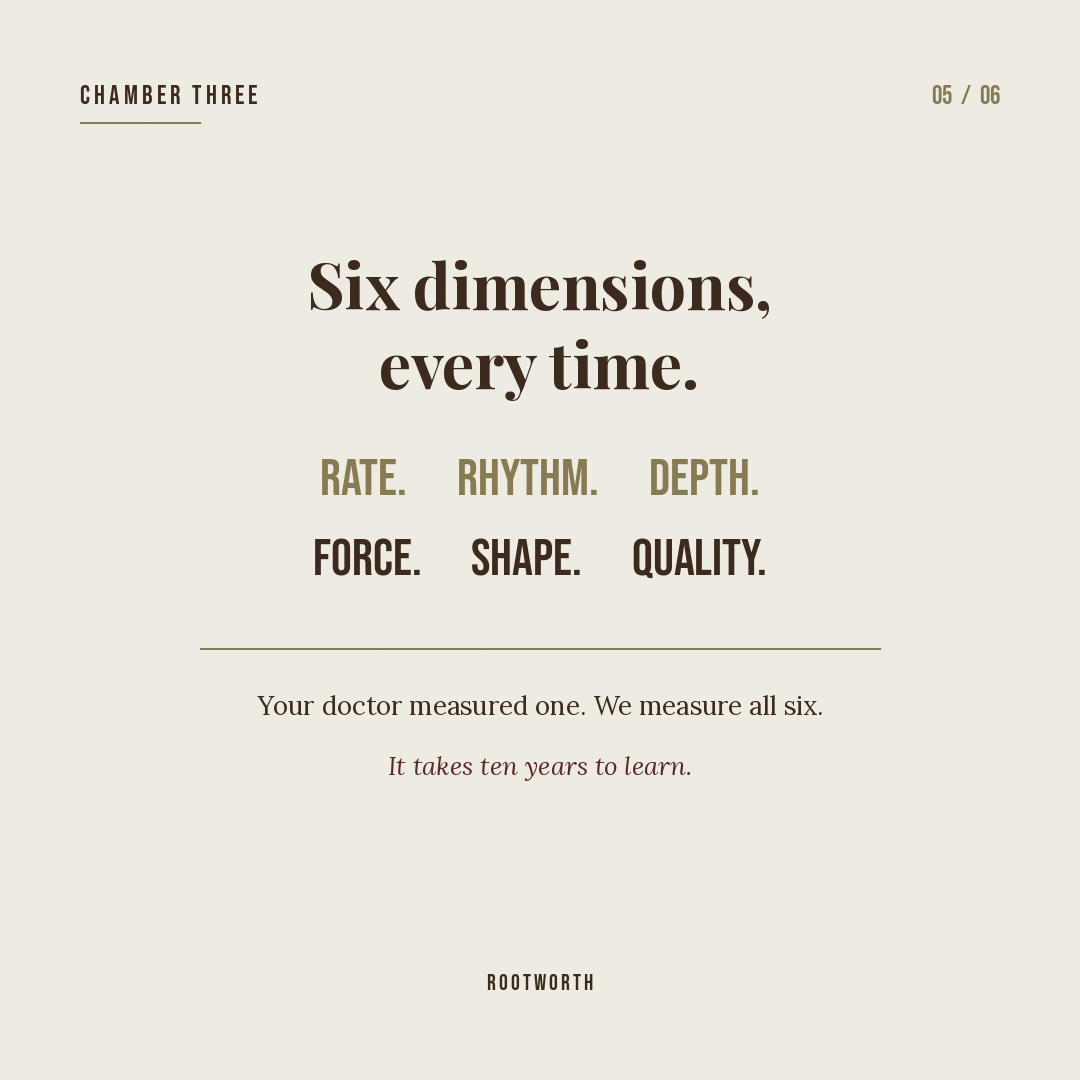 Pulse dimensions — rate, depth, width, quality