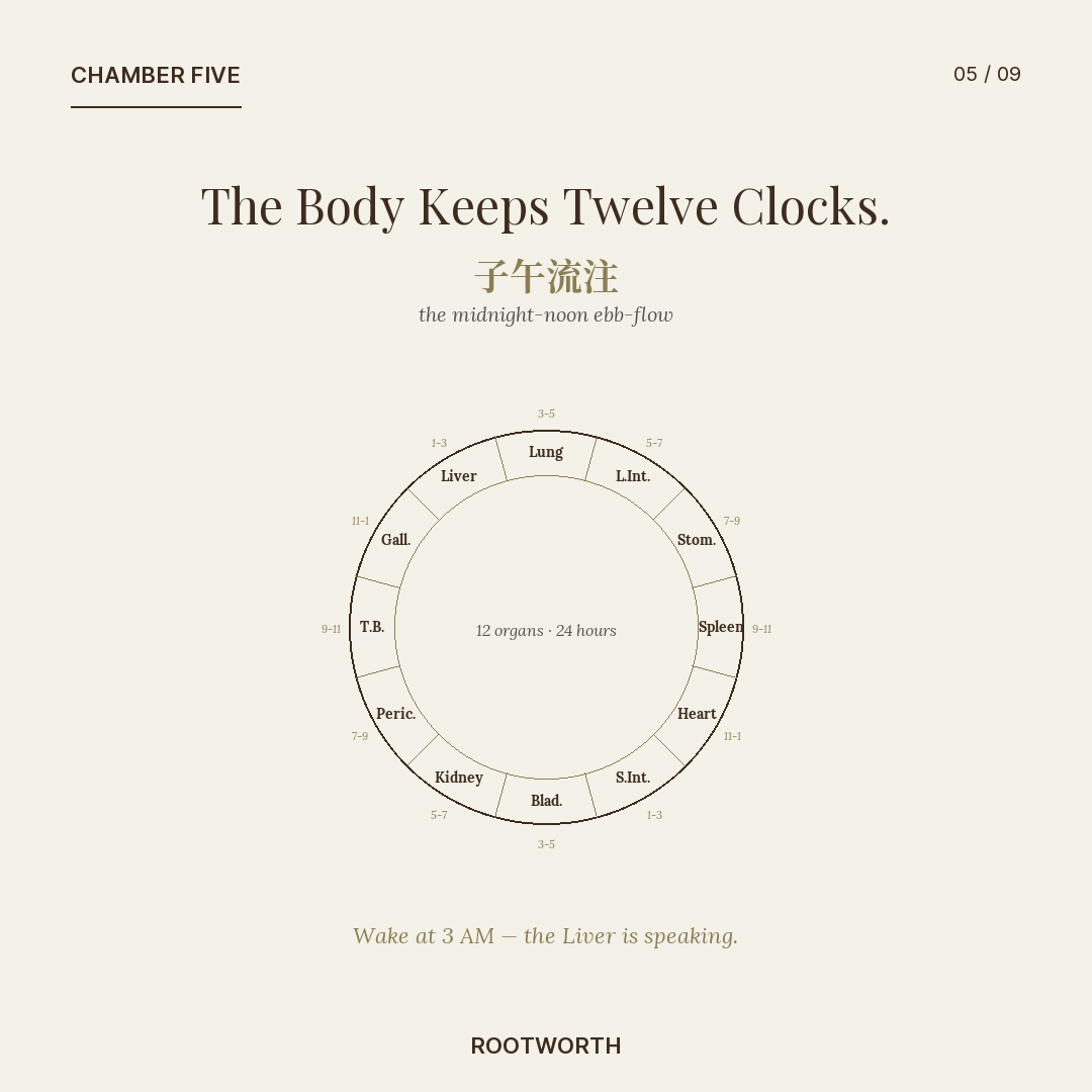 Slide: the body keeps twelve clocks — 24-hour organ-clock wheel.
