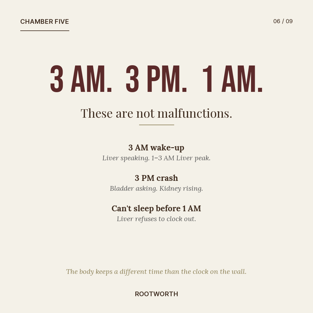 Slide: 3 AM wake-up, 3 PM crash, can't-sleep-before-1 AM — Liver, Bladder, Kidney.