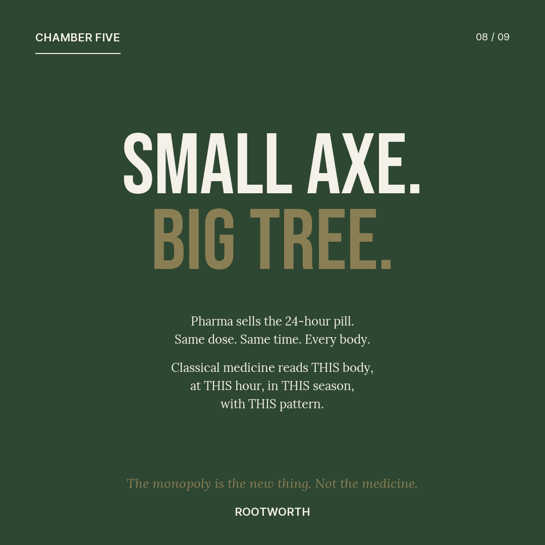 Movement-register slide: forest background, Small Axe Big Tree.