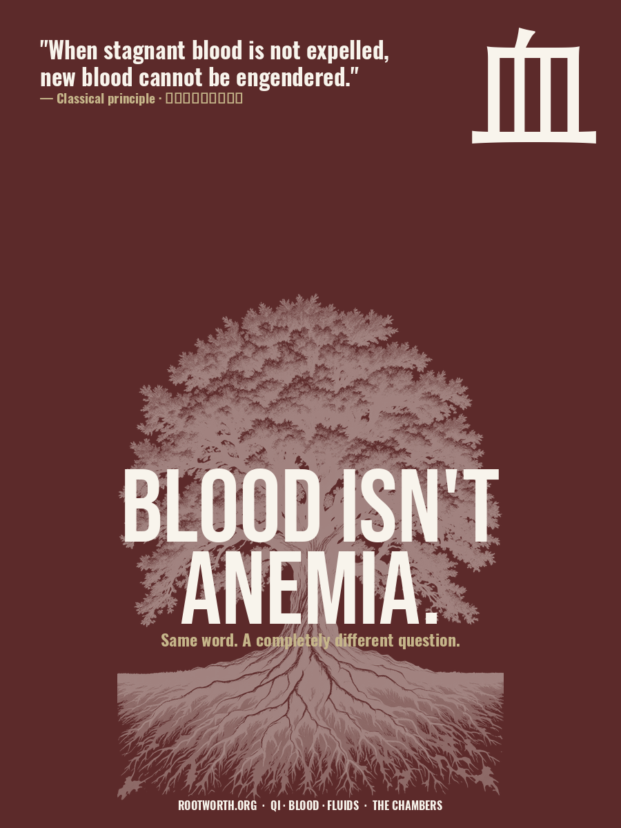 Blood Isn't Anemia — Qi, Blood & Fluids poster