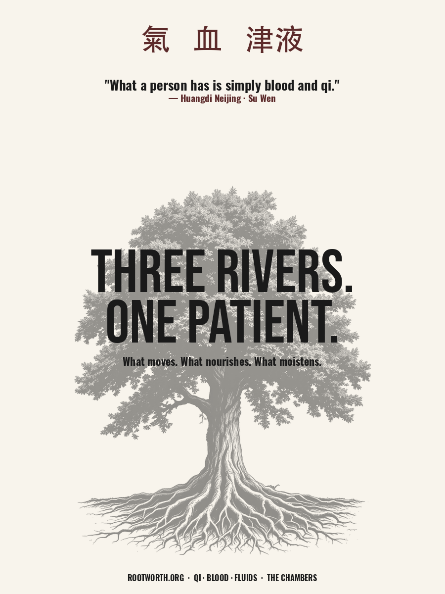 Three Rivers, One Patient — Qi, Blood & Fluids poster