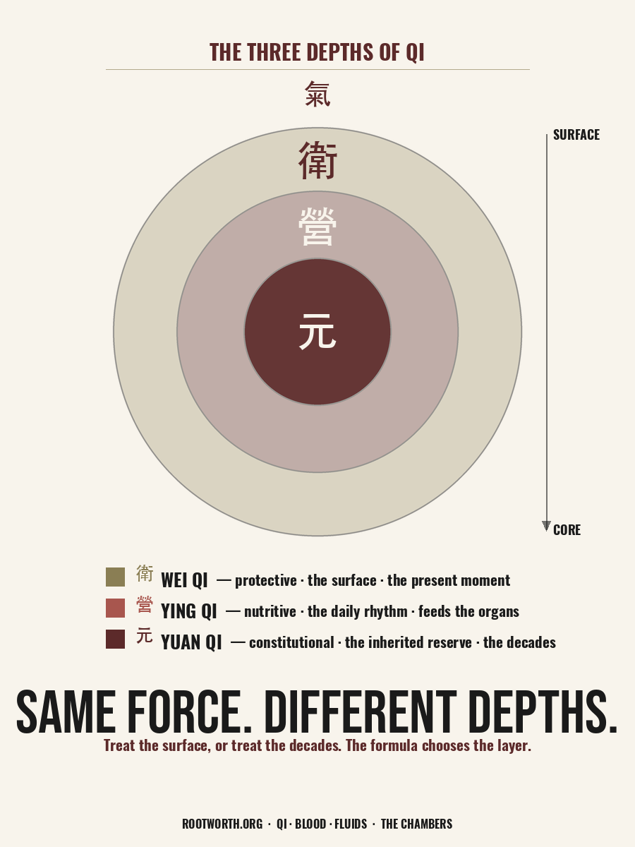 The three depths of Qi — Wei, Ying, Yuan