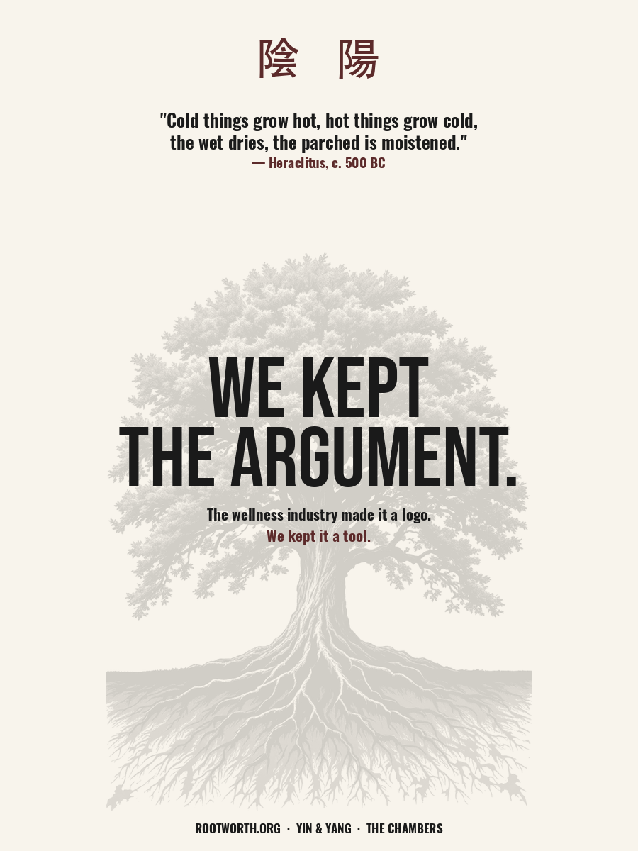 We Kept the Argument — Yin & Yang poster