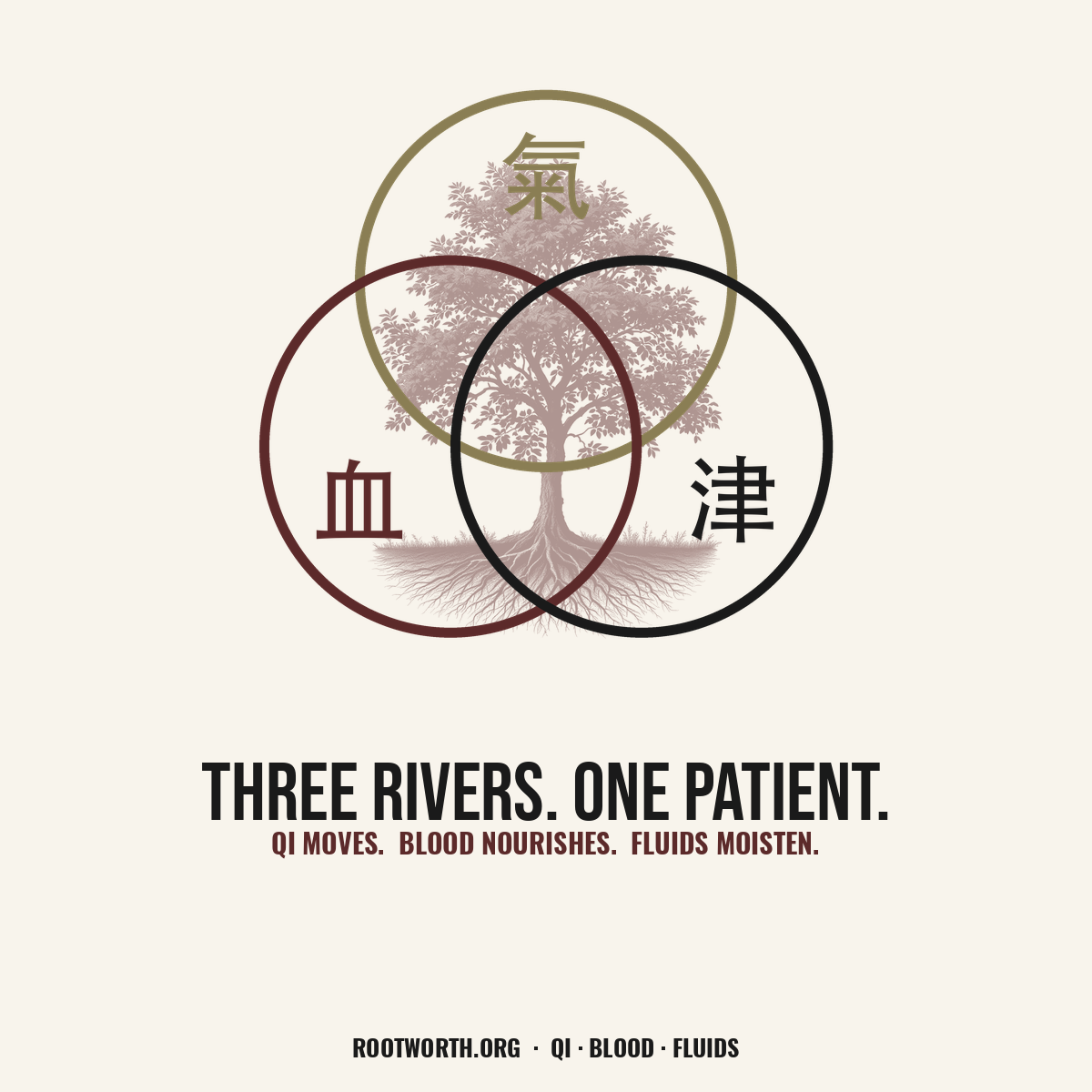Three Rivers — Qi, Blood & Fluids tee